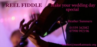 reelfiddle